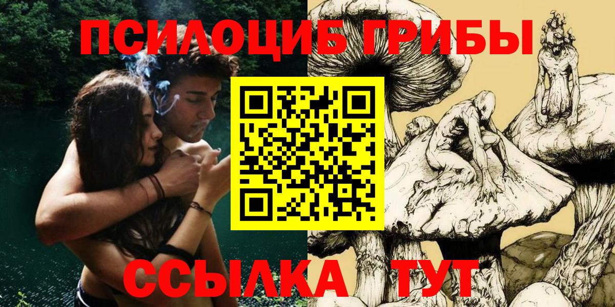 Сунжа  Псилоцибиновые грибы GOLDEN TEACHER  Галлюциногенные грибы мухоморы  Вход с VPN 